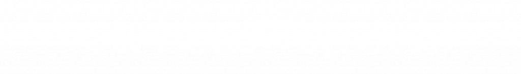 xavier altimiras_type