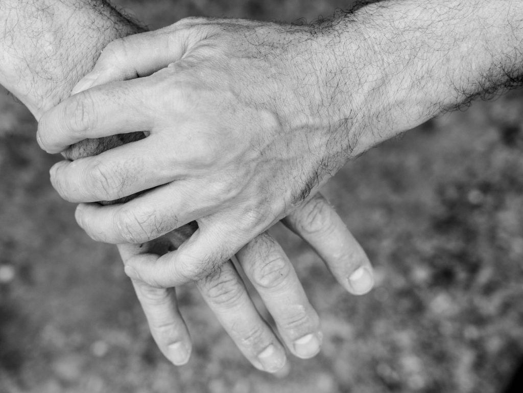 xavier altimiras portrait